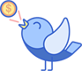 Early Bird Offer